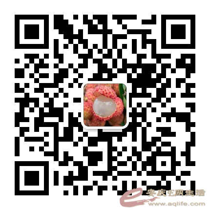 mmqrcode1656513448043.png